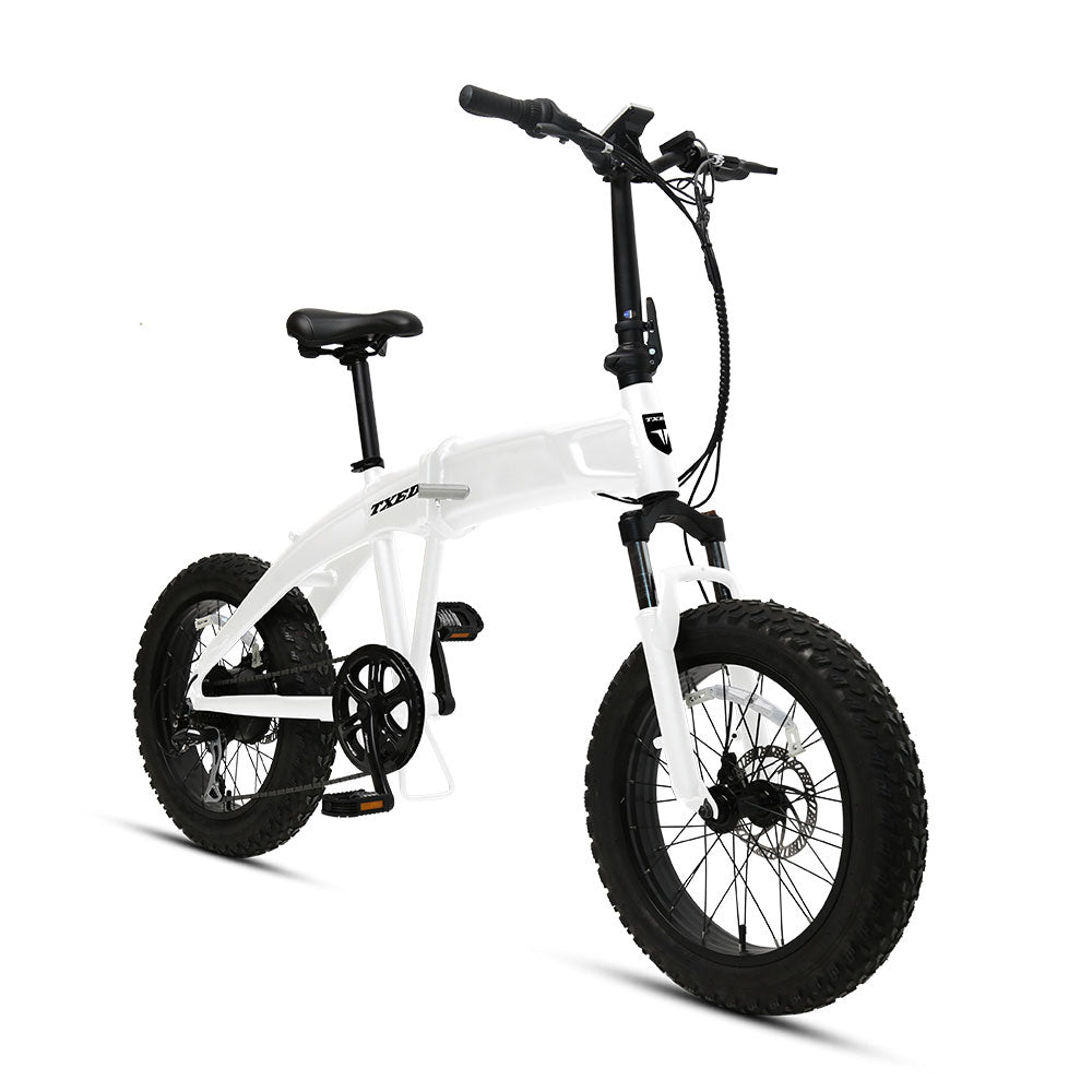 500W Electriic Folding bike