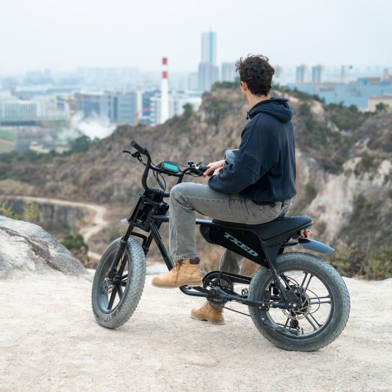 TXED Electric Bike