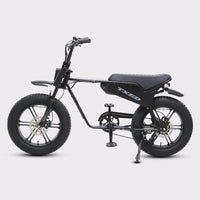 Maverick 2-Pack 20x4.0 fat tires all-terrain