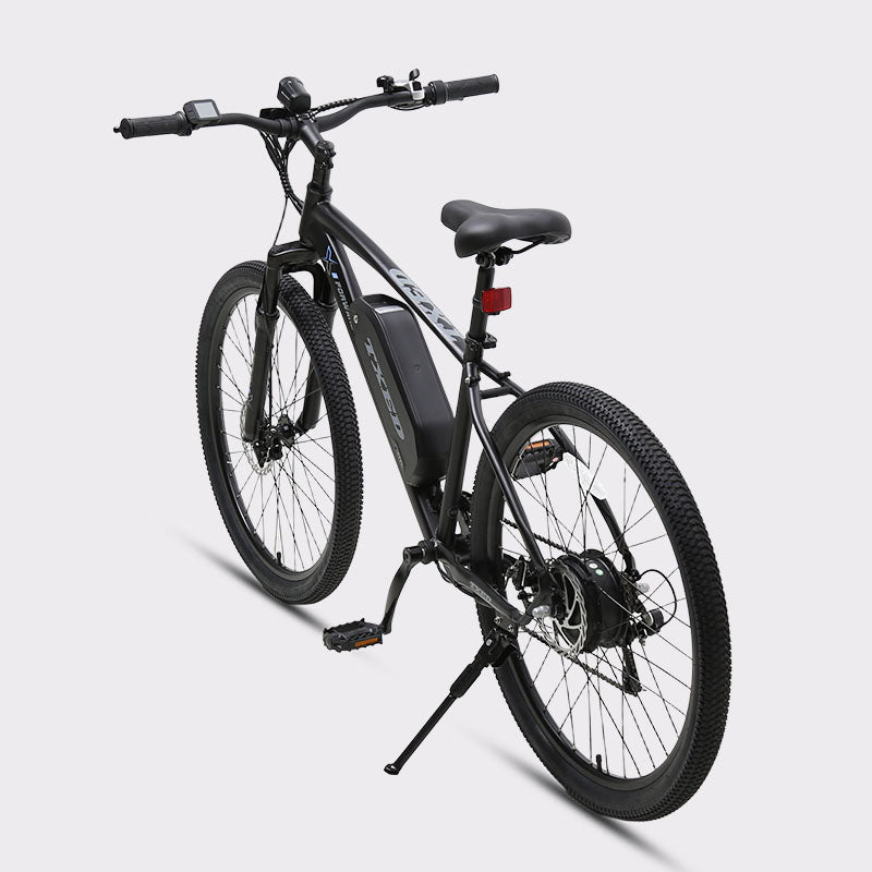 Trail 2-Pack 1000W hub motor detail