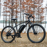 Trail 2-Pack each bike side profile