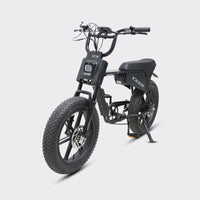 TXED Maverick long range electric bike with up to 50 miles pedal assist