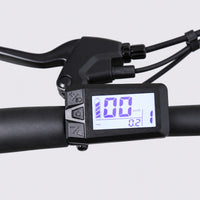 Green TXED Trail electric bike - handlebar display