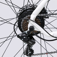 White TXED Trail electric bike - rear gears and derailleur