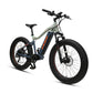 Far tire 750w Electric Mountain Bike (e tough power rambler X9)
