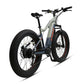 Far tire 750w Electric Mountain Bike (e tough power rambler X9)