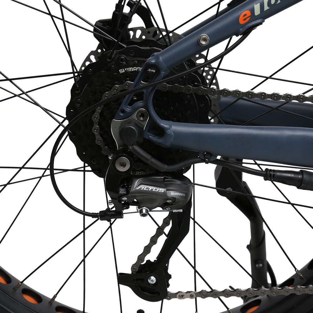 Far tire 750w Electric Mountain Bike (e tough power rambler X9)