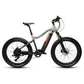 Far tire 750w Electric Mountain Bike (e tough power rambler X9)